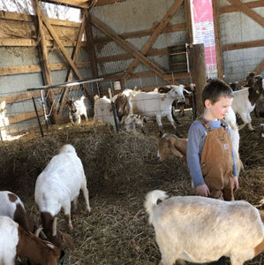 Meet your Posher, Cooper-lasley farm